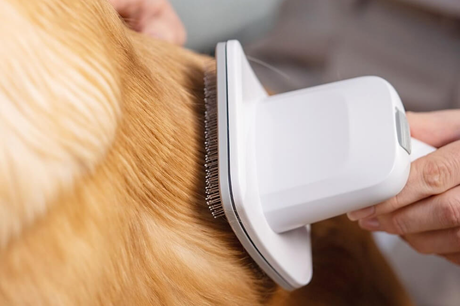 Dog Grooming Vacuum with Suction