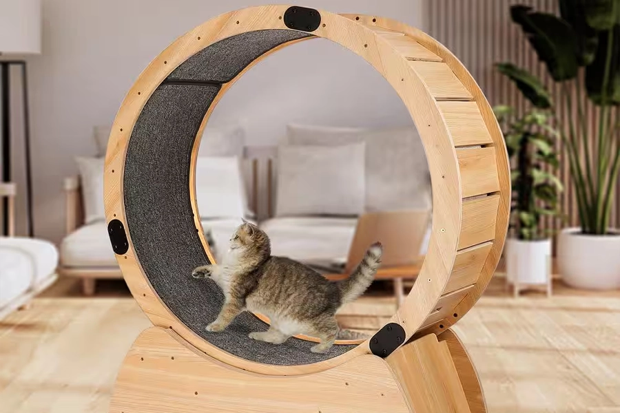 Cat Running Wheel