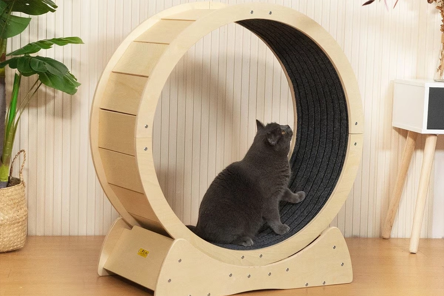 Cat Exercise Wheel